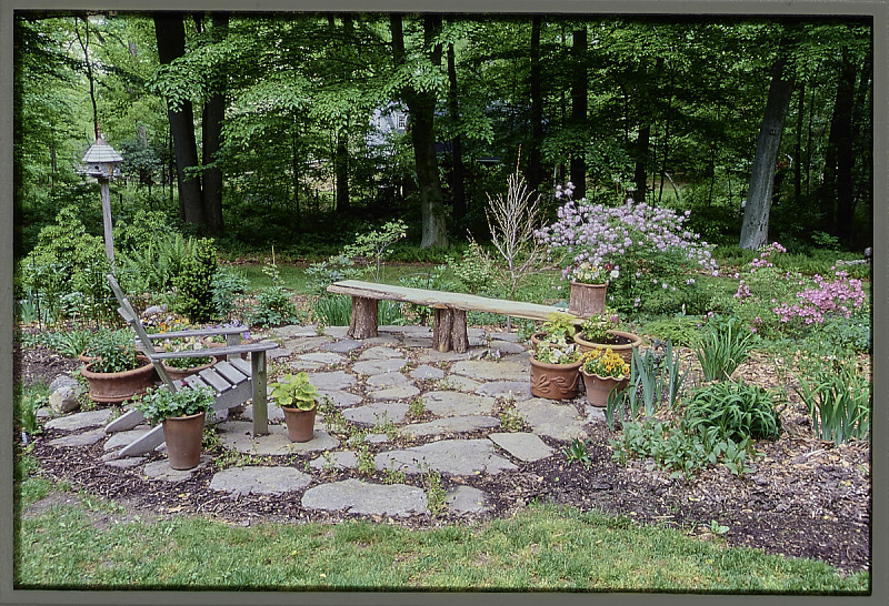 Picture of a garden